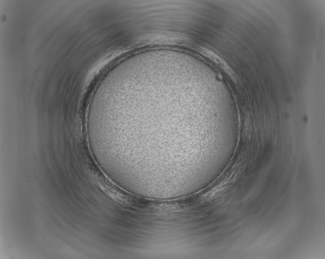 X0000072491027200608041411