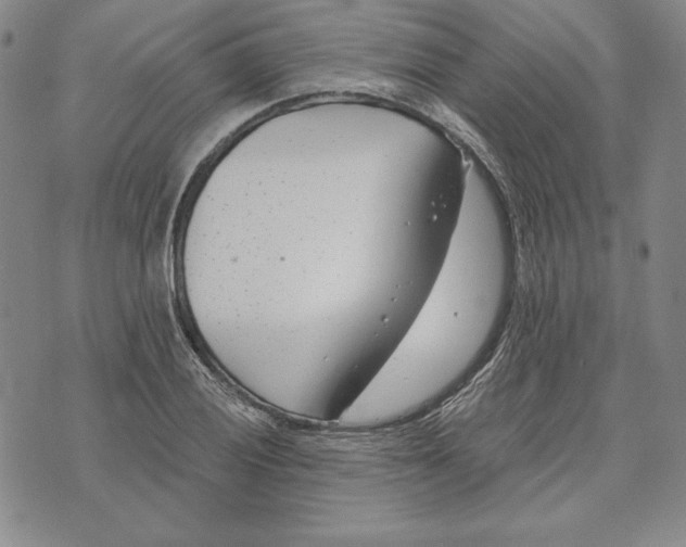 X0000072491028200608041411