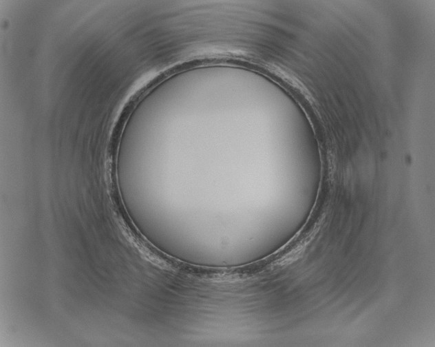 X0000072491029200608041411