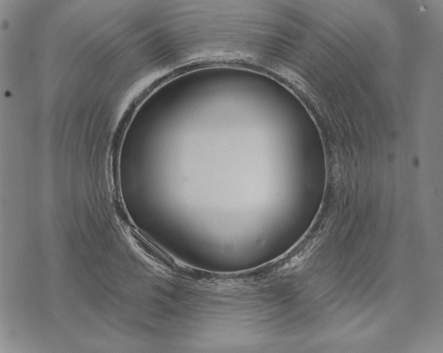 X0000072491030200608041411