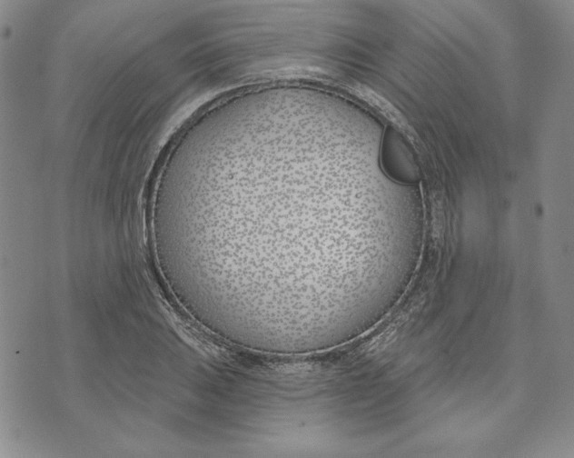 X0000072491031200608041411