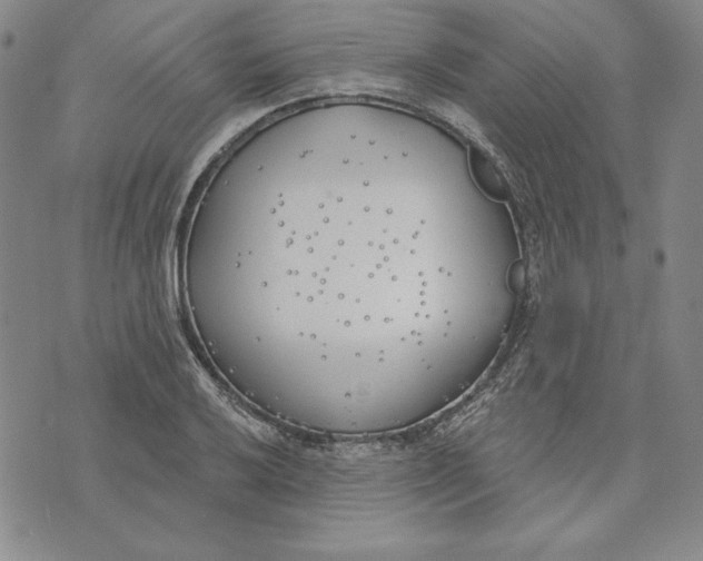 X0000072491032200608041411