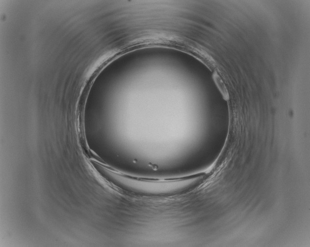 X0000072491034200608041411