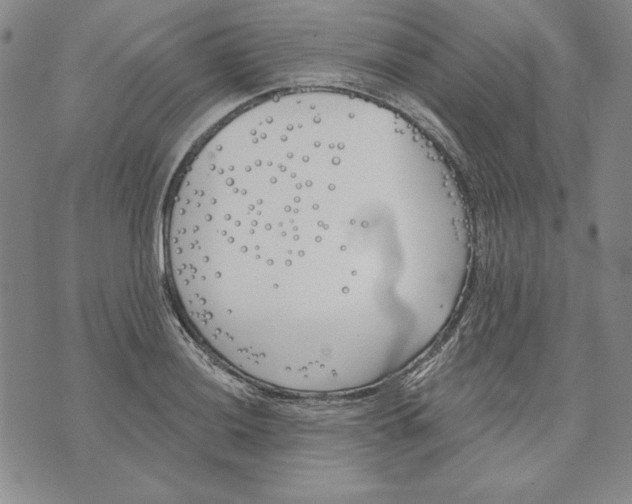 X0000072491036200608041411