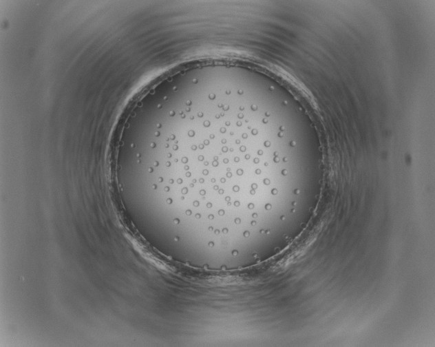 X0000072491037200608041411