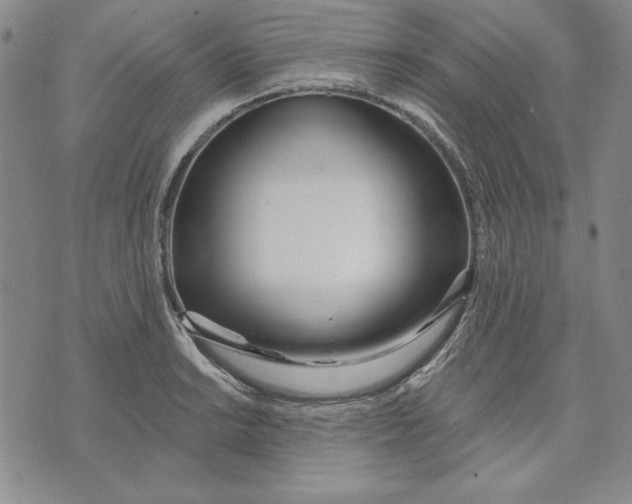 X0000072491038200608041411