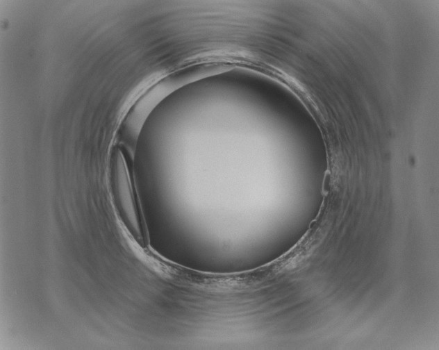 X0000072491042200608041411