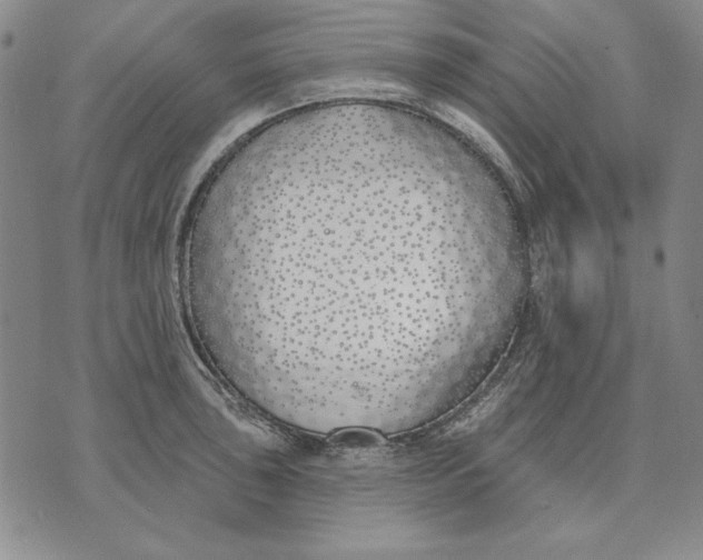 X0000072491043200608041411