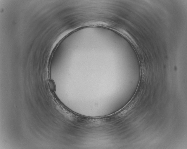 X0000072491044200608041411