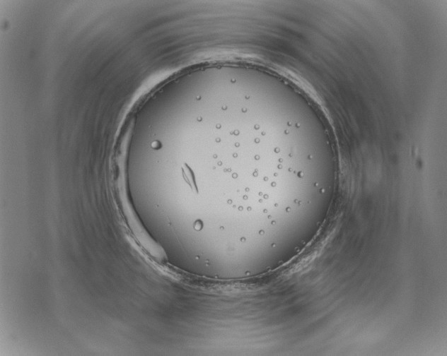 X0000072491045200608041411