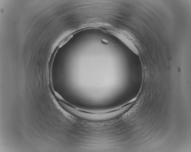 X0000072491046200608041411