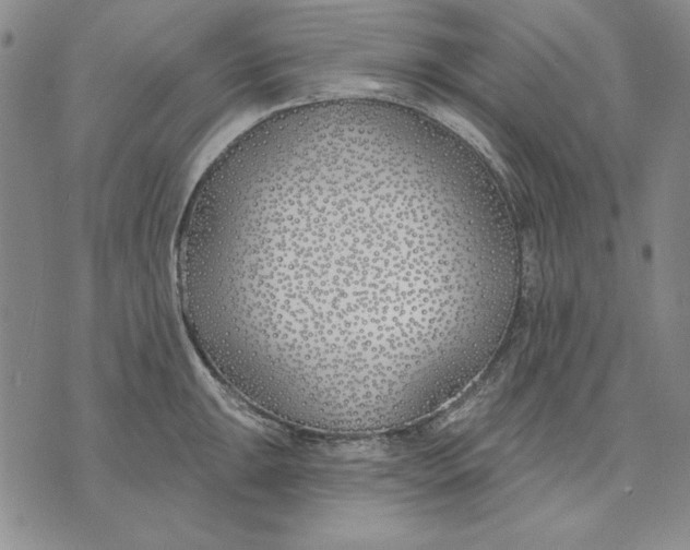 X0000072491047200608041411