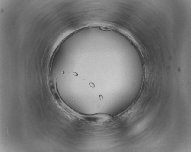 X0000072491048200608041411