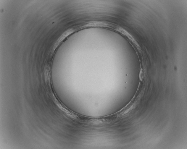 X0000072491049200608041411