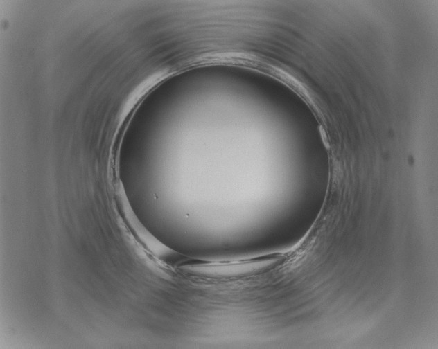 X0000072491050200608041411