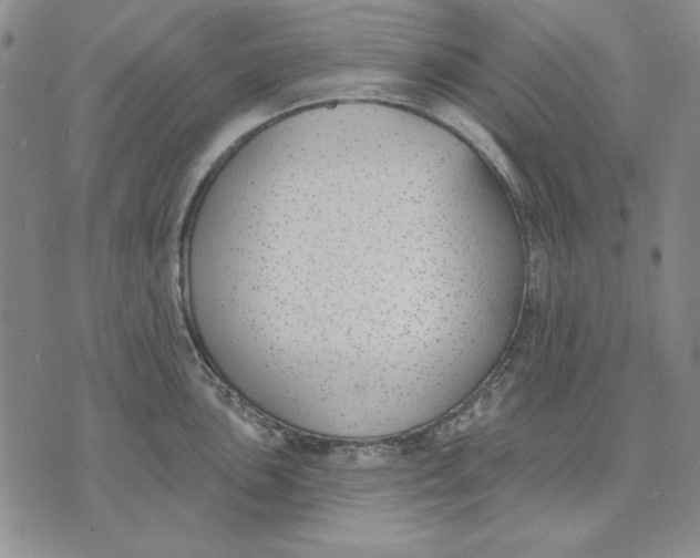 X0000072491051200608041411