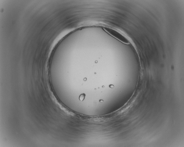 X0000072491053200608041411