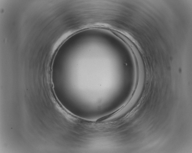 X0000072491054200608041411