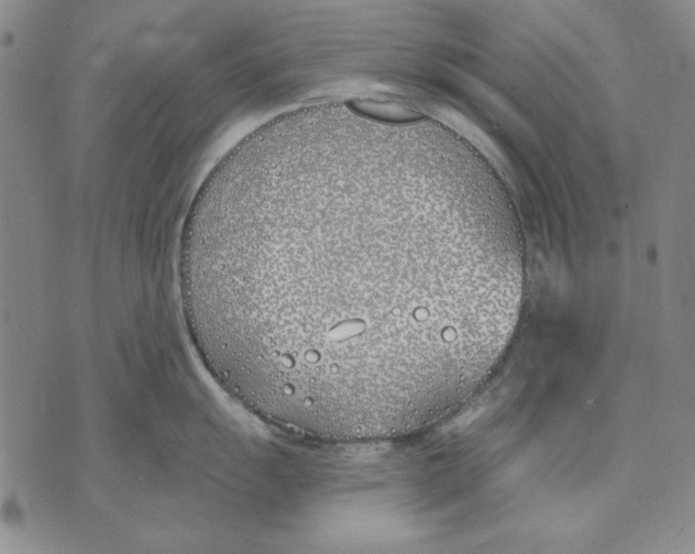 X0000072491055200608041411