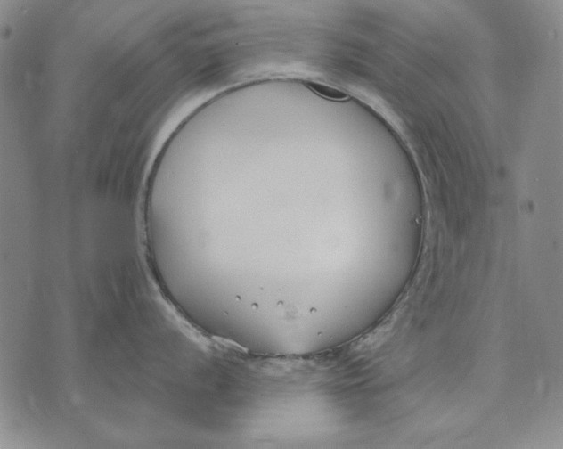 X0000072491056200608041411