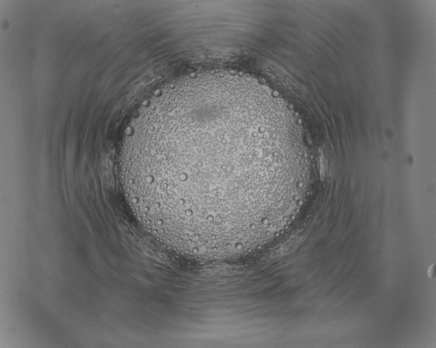 X0000072491059200608041410