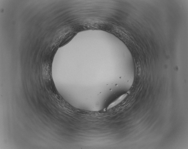 X0000072491060200608041410