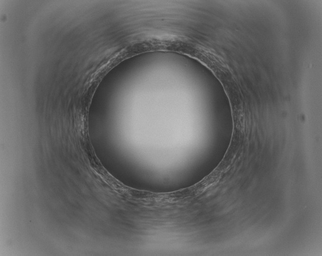 X0000072491061200608041410