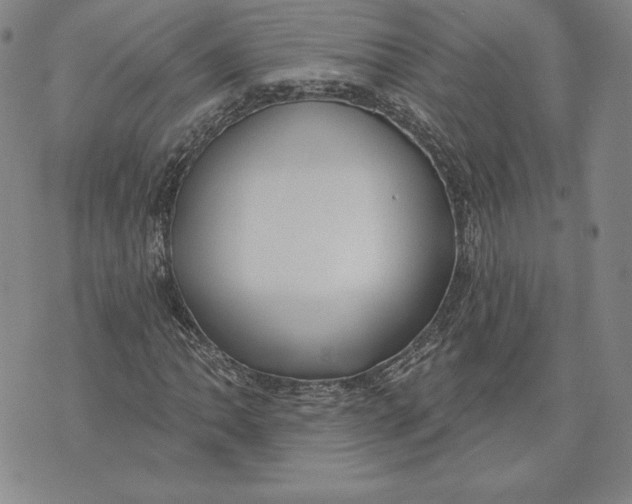 X0000072491062200608041410