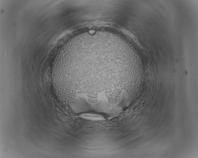 X0000072491063200608041410