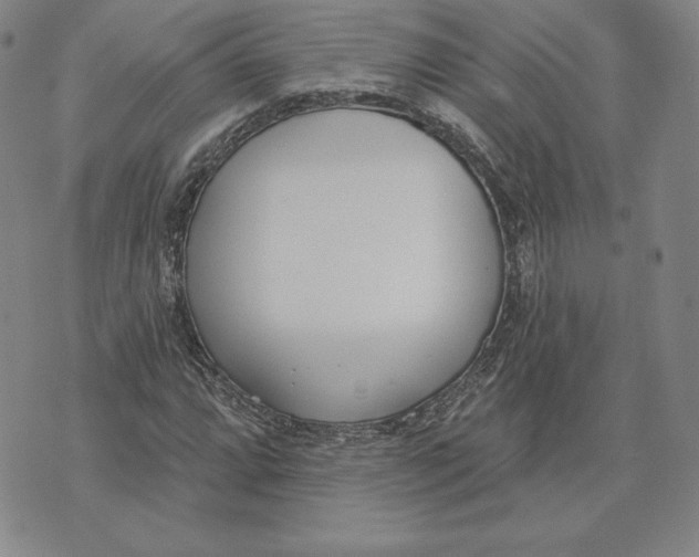 X0000072491064200608041410