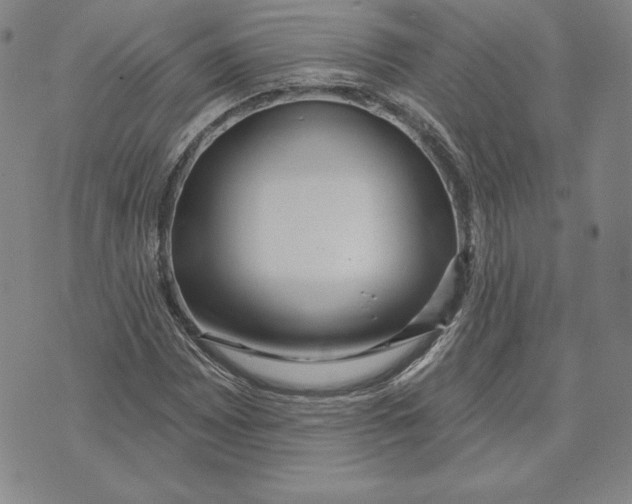 X0000072491065200608041410