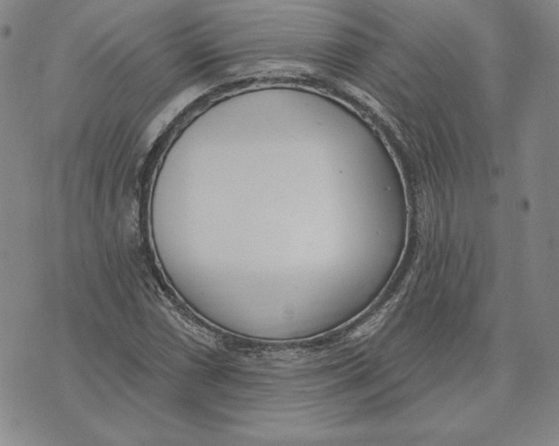 X0000072491066200608041410