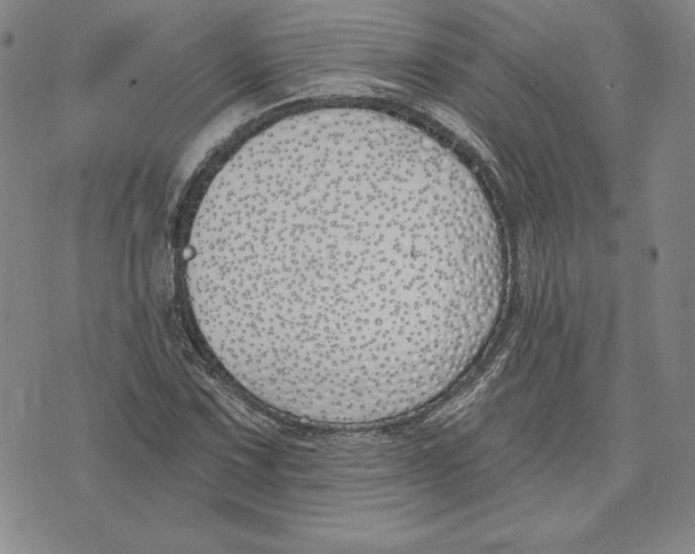 X0000072491067200608041410