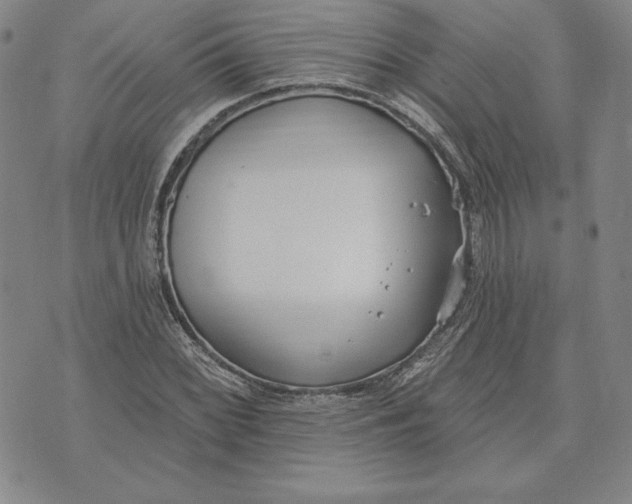 X0000072491068200608041410