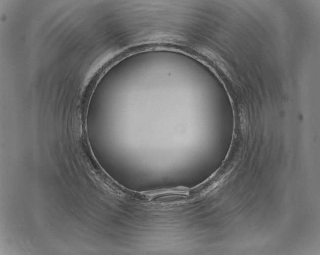 X0000072491069200608041410