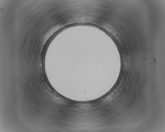 X0000072491070200608041410