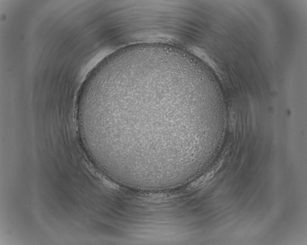 X0000072491071200608041410