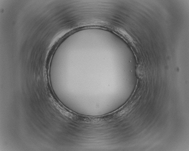 X0000072491072200608041410