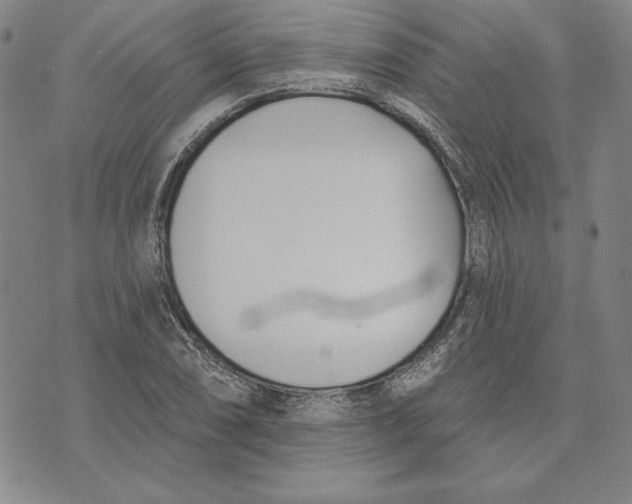 X0000072491074200608041410