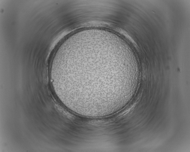 X0000072491075200608041410