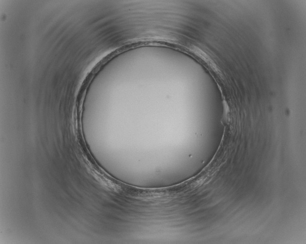 X0000072491076200608041410