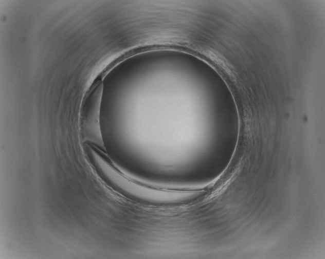 X0000072491077200608041410