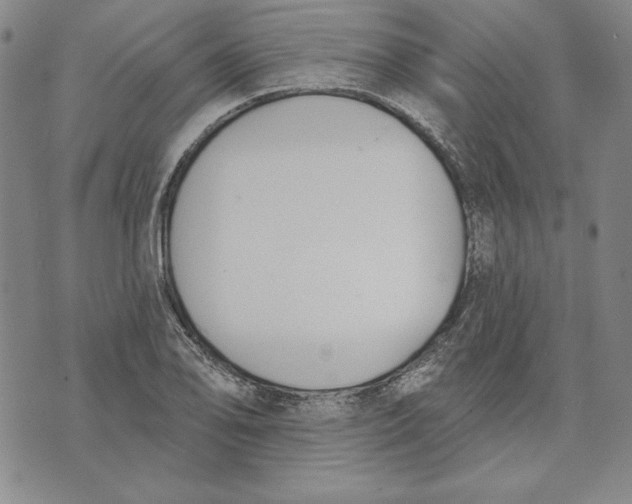 X0000072491078200608041410