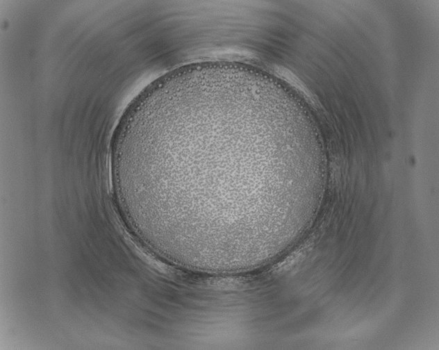 X0000072491079200608041410