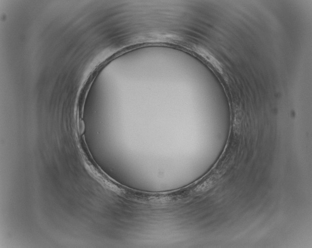 X0000072491080200608041410