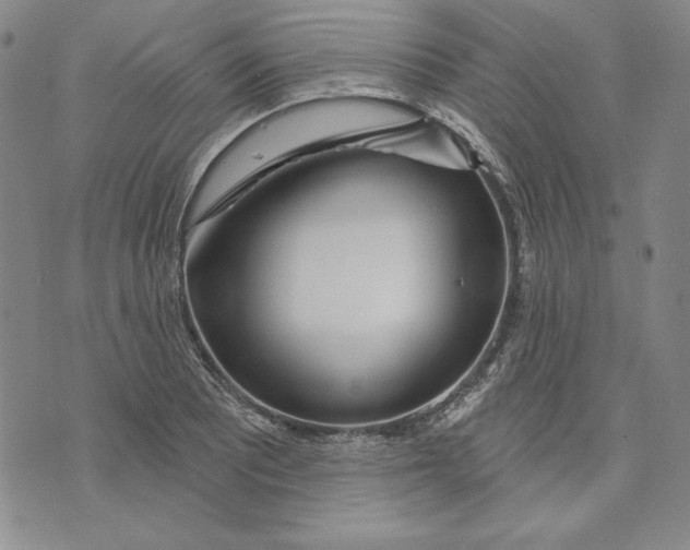 X0000072491081200608041410