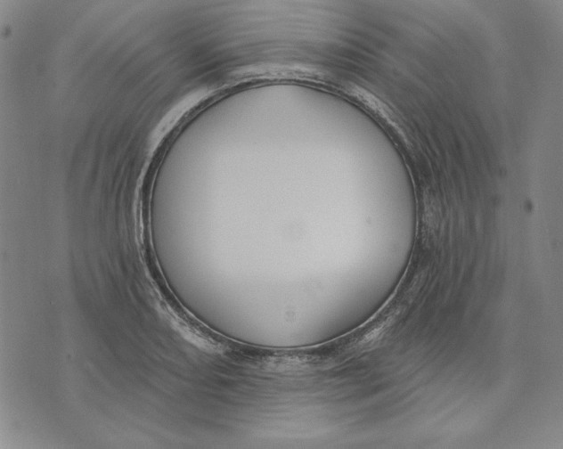 X0000072491082200608041410