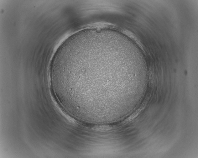 X0000072491083200608041410