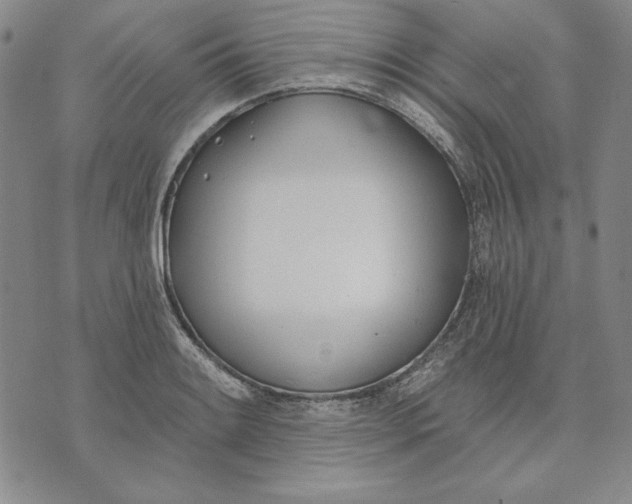 X0000072491084200608041410