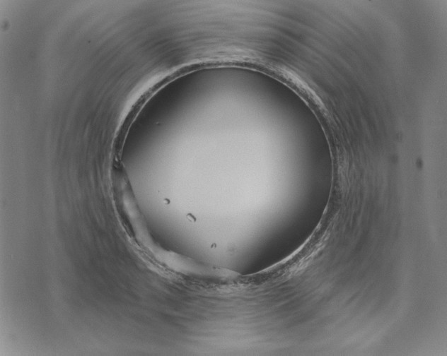 X0000072491085200608041410